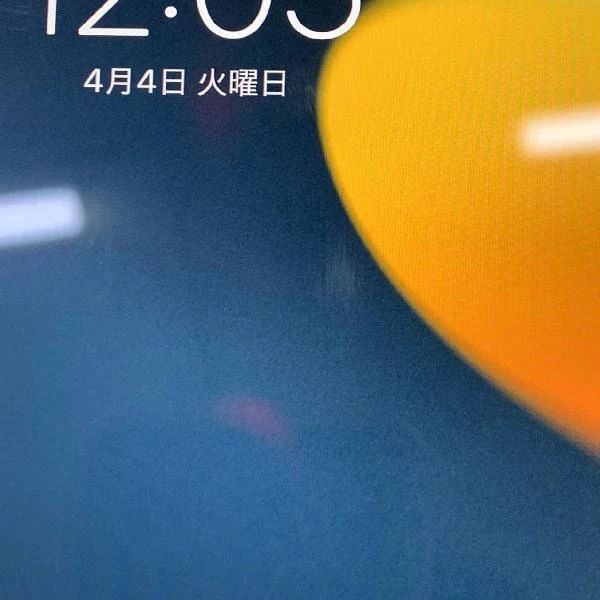 iPad mini 5 Wi-Fiモデル 64GB MUQW2J/A A2133 ジャンク品 スペースグレイ