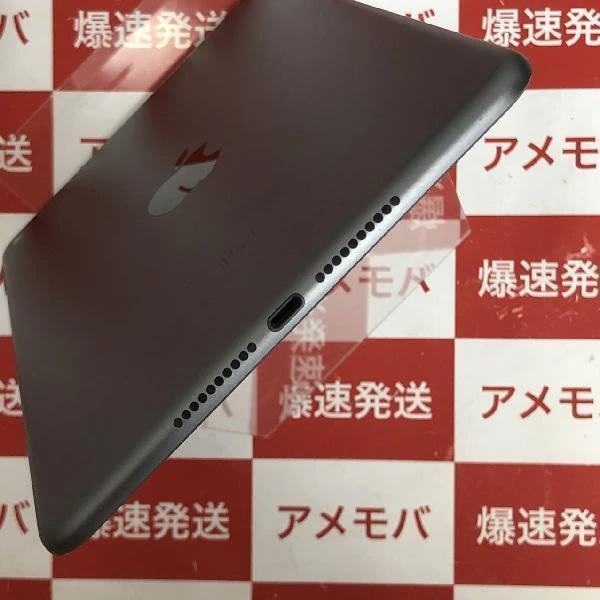 iPad mini 5 Wi-Fiモデル 256GB MUU32J/A A2133 極美品 スペースグレイ