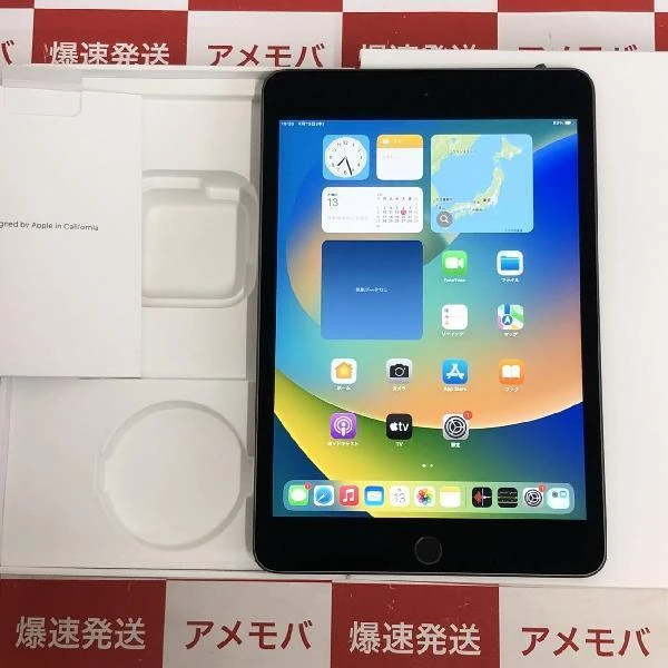 iPad mini 5 Wi-Fiモデル 256GB MUU32J/A A2133 極美品 スペースグレイ