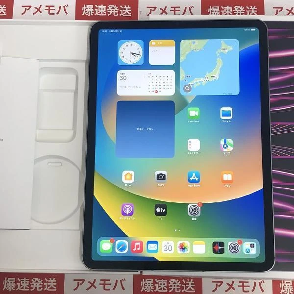 iPad Pro 11インチ 第4世代 SoftBank版SIMフリー 512GB MNYG3J/A A2761 ほぼ新品