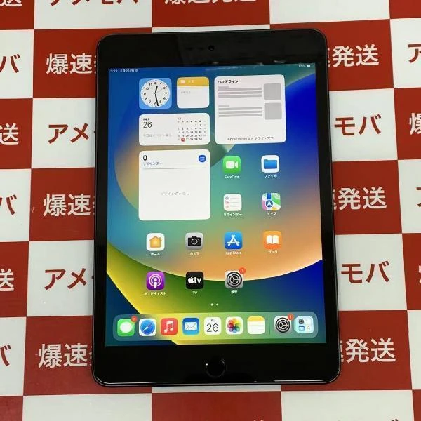 iPad mini 第5世代 Wi-Fiモデル 256GB MUU32J/A A2133 極美品 スペースグレイ