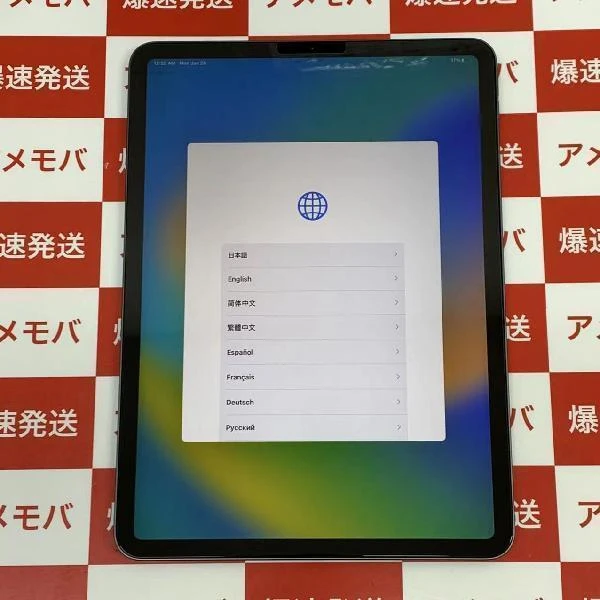 iPad Pro 11インチ 第2世代 Wi-Fiモデル 256GB MXDC2J/A A2228 極美品 スペースグレイ