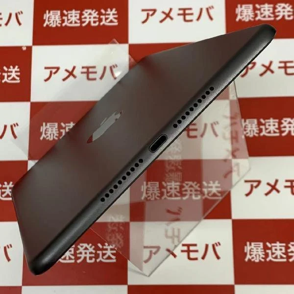 iPad mini 第5世代 Wi-Fiモデル 256GB MUU32J/A A2133 極美品 スペースグレイ