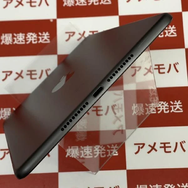 iPad mini 第5世代 Wi-Fiモデル 64GB MUQW2J/A A2133 極美品 スペースグレイ