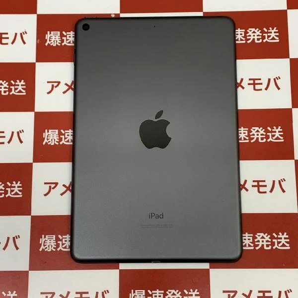 iPad mini 第5世代 Wi-Fiモデル 64GB MUQW2J/A A2133 極美品 スペースグレイ