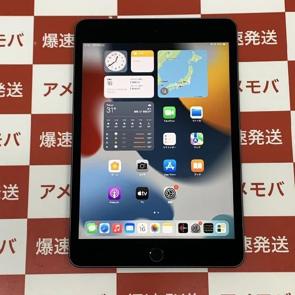 iPad mini 第5世代 Wi-Fiモデル 64GB MUQW2J/A A2133 極美品 スペースグレイ