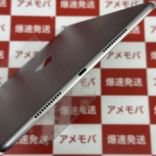 iPad Pro 9.7インチ Wi-Fiモデル 32GB MLMN2J/A A1673 極美品 スペースグレイ