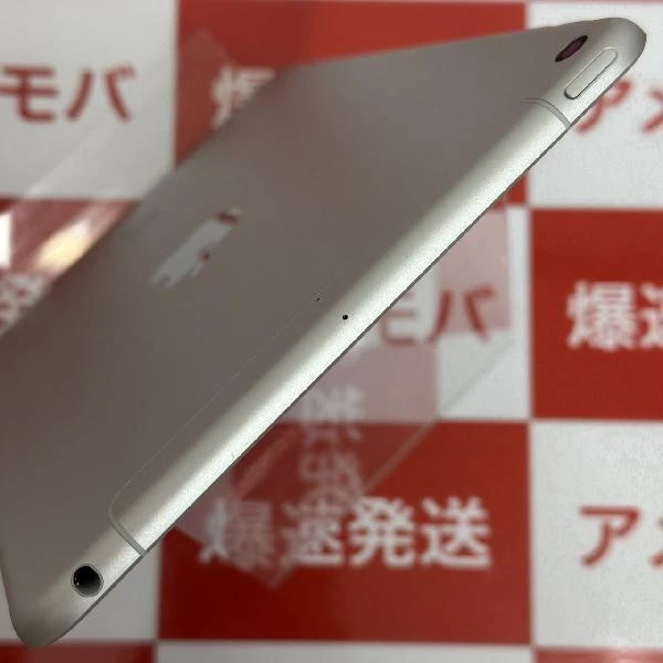 iPad mini 第5世代 Apple版SIMフリー 64GB MUX62J/A A2124 極美品 シルバー