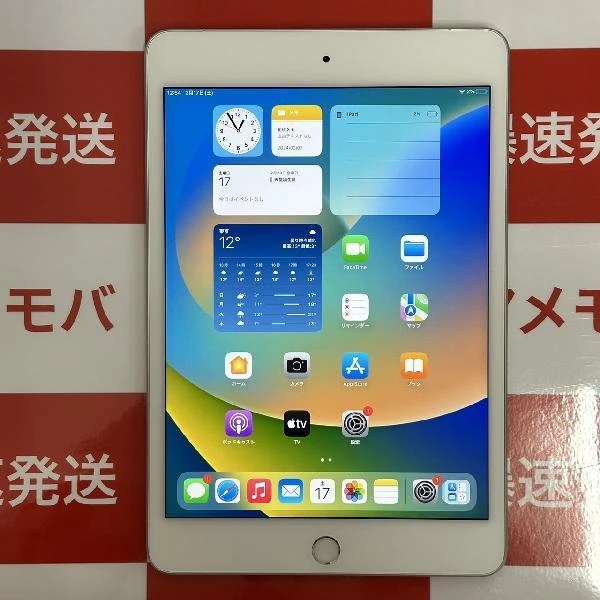 iPad mini 第5世代 Apple版SIMフリー 64GB MUX62J/A A2124 極美品 シルバー