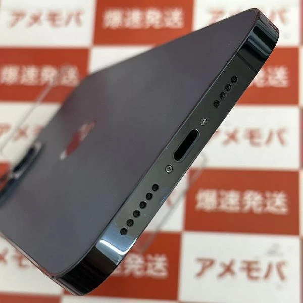 iPhone12 Pro Max docomo版SIMフリー 128GB NGCX3J/A A2410 極美品 パシフィックブルー