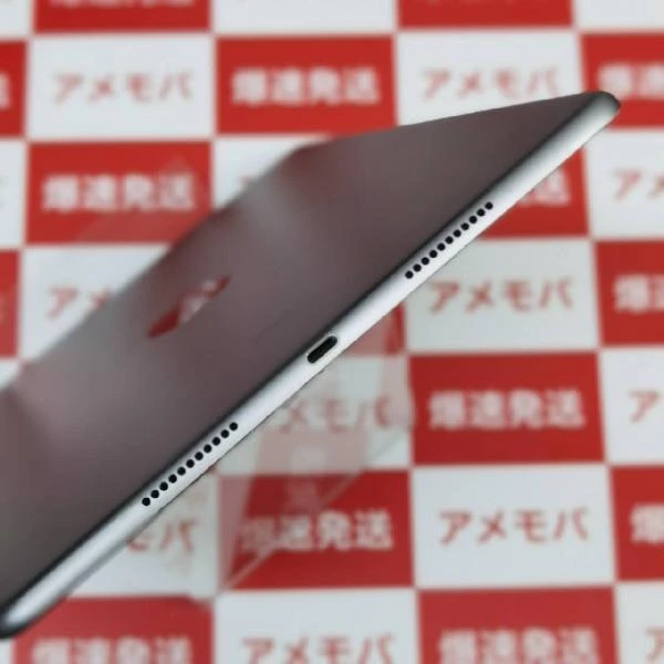 iPad Pro 10.5インチ Wi-Fiモデル 64GB MQDT2J/A A1701 美品 スペースグレイ