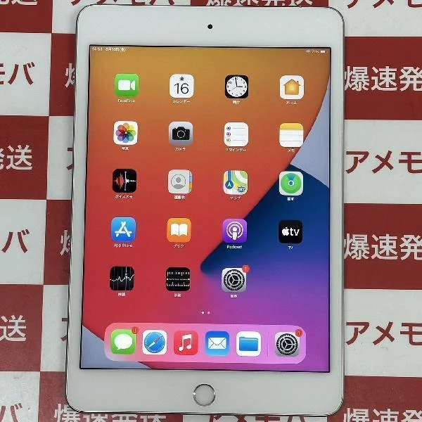 iPad mini 第5世代 au版SIMフリー 256GB MUXD2J/A A2124 極美品 シルバー