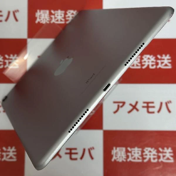 iPad Pro 10.5インチ Apple版SIMフリー 64GB MQEY2J/A A1709 美品 スペースグレイ