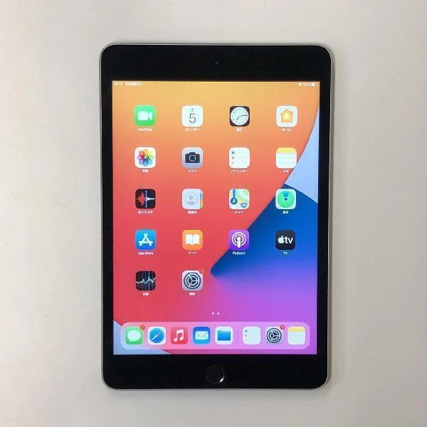 iPad mini 第4世代 Wi-Fiモデル 128GB MK9N2J/A A1538 訳あり品 スペースグレイ