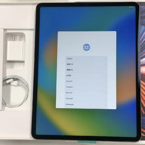 iPad Pro 12.9インチ 第5世代 Wi-Fiモデル 128GB MHNF3J/A A2378 極美品 スペースグレイ