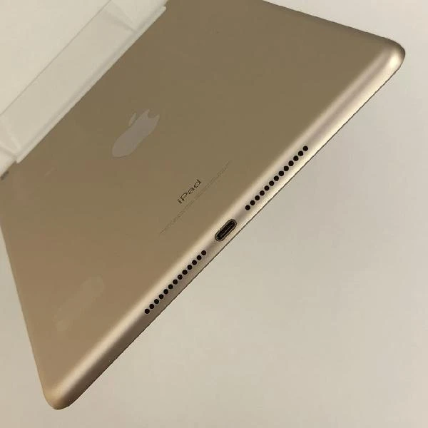 iPad 第5世代 docomo版SIMフリー 32GB MPG42J/A A1823
