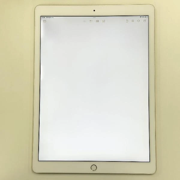 iPad Pro 12.9インチ 第2世代 Wi-Fiモデル 256GB MP6J2J/A A1670 訳アリ品 ゴールド