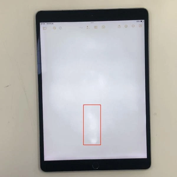 iPad Pro 10.5インチ 256GB Apple版SIMフリー  FPHG2J/A A1709 スペースグレイ
