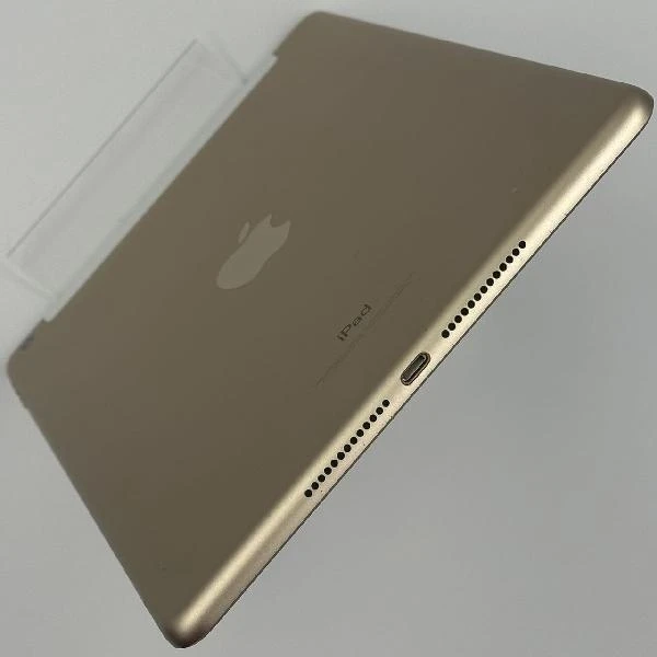 iPad 第5世代 docomo版SIMフリー 128GB MPG52J/A A1823