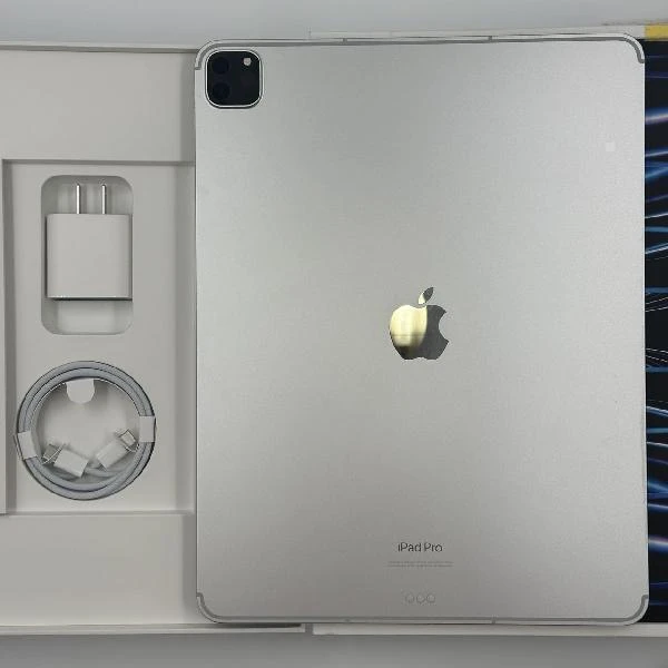iPad Pro 12.9インチ 第6世代 au版SIMフリー 256GB MP213J/A A2437 極美品 シルバー