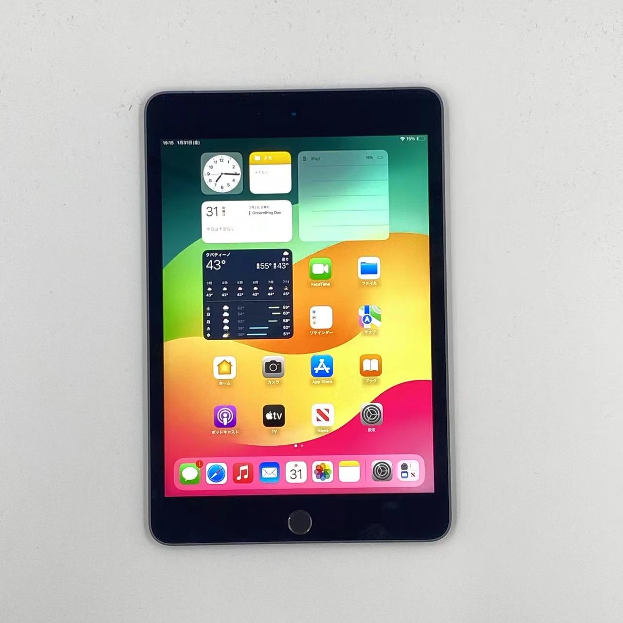 iPad mini 第5世代 256GB スペースグレイ MUXC2KH/A 海外版SIMフリー 極美品