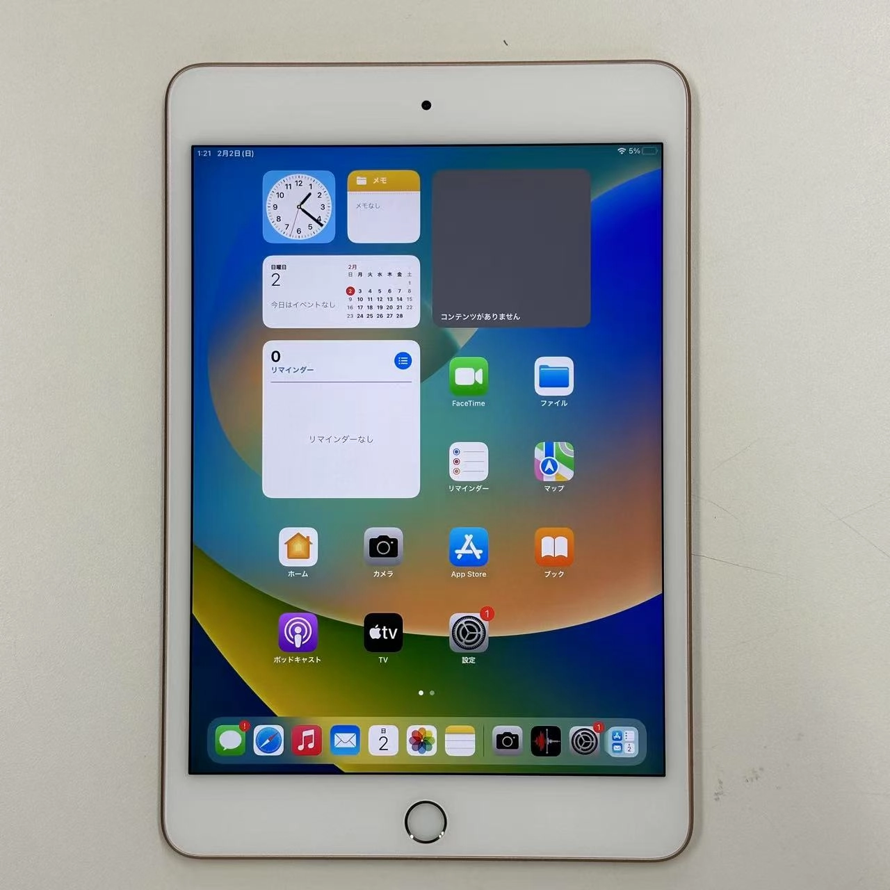 iPad mini 第5世代 Wi-Fiモデル 256GB MUU62TA/A 美品 ゴールド