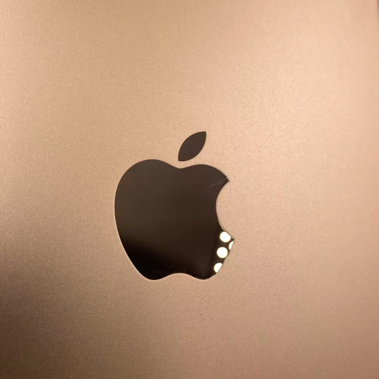 iPad mini 第5世代 64GB MUQY2TA/A Wi-Fiモデル 美品 ゴールド