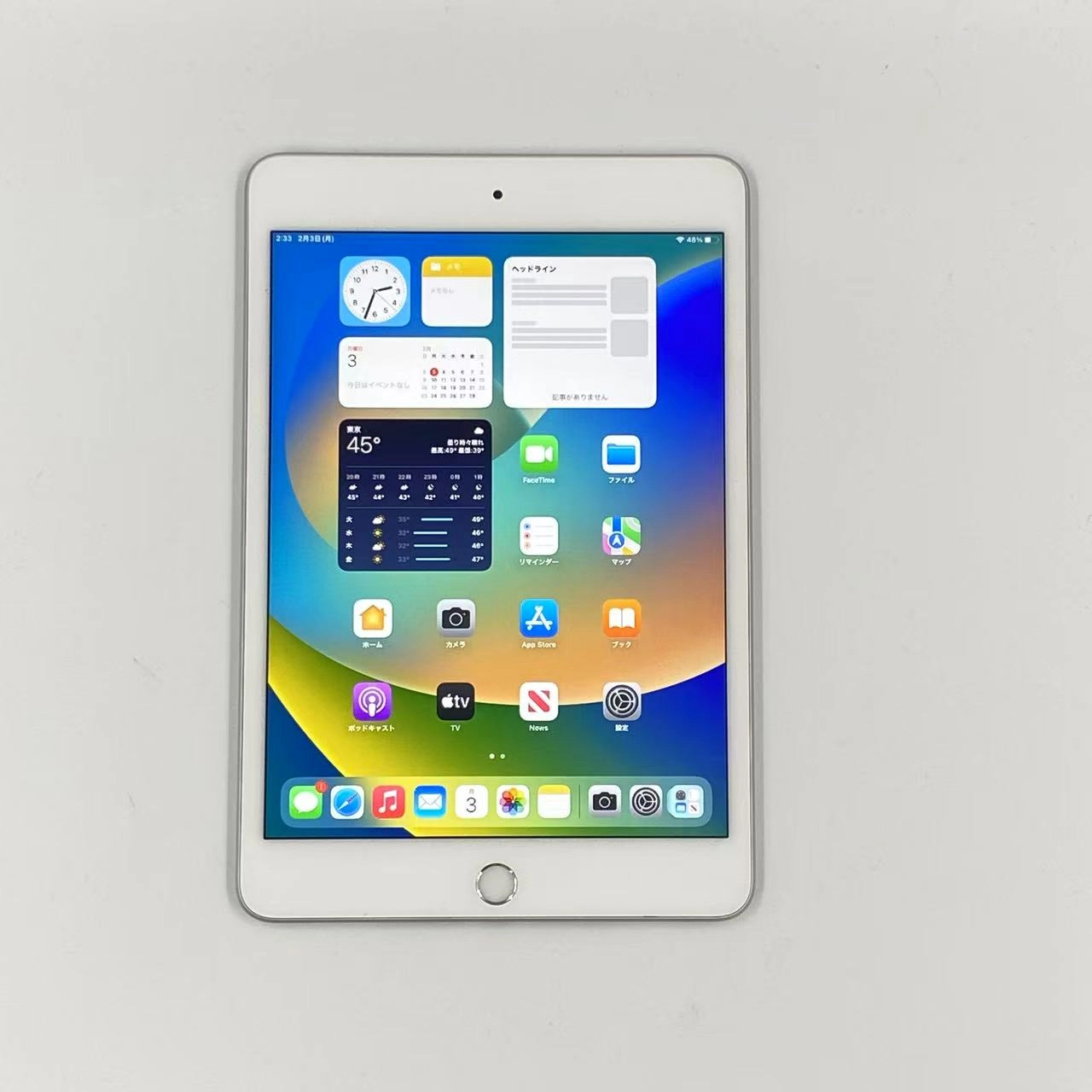 iPad mini 第5世代 256GB MUU52J/A Wi-Fiモデル 美品 シルバー