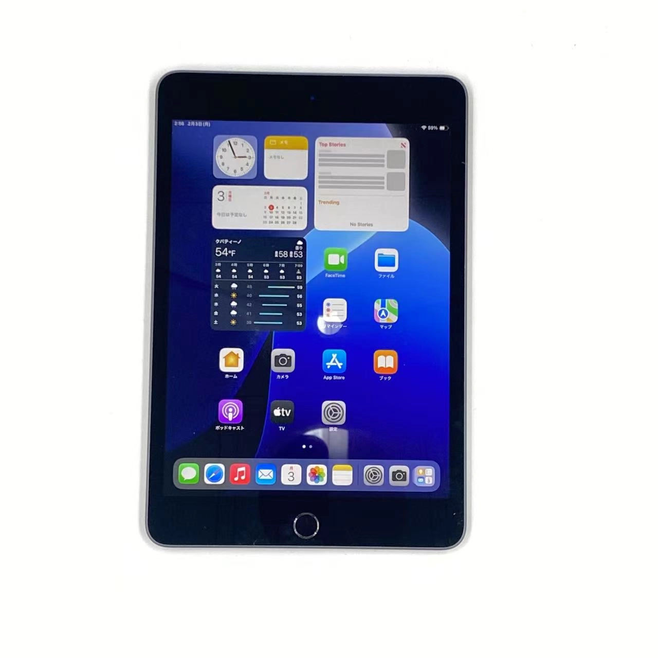 iPad mini 第5世代 256GB MUU32ZP/A Wi-Fiモデル 極美品 スペースグレイ
