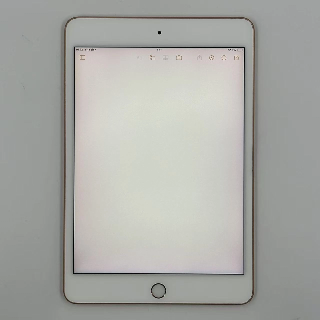 iPad mini 第5世代 Wi-Fiモデル 256GB ゴールド MUU62ZP/A 訳あり品