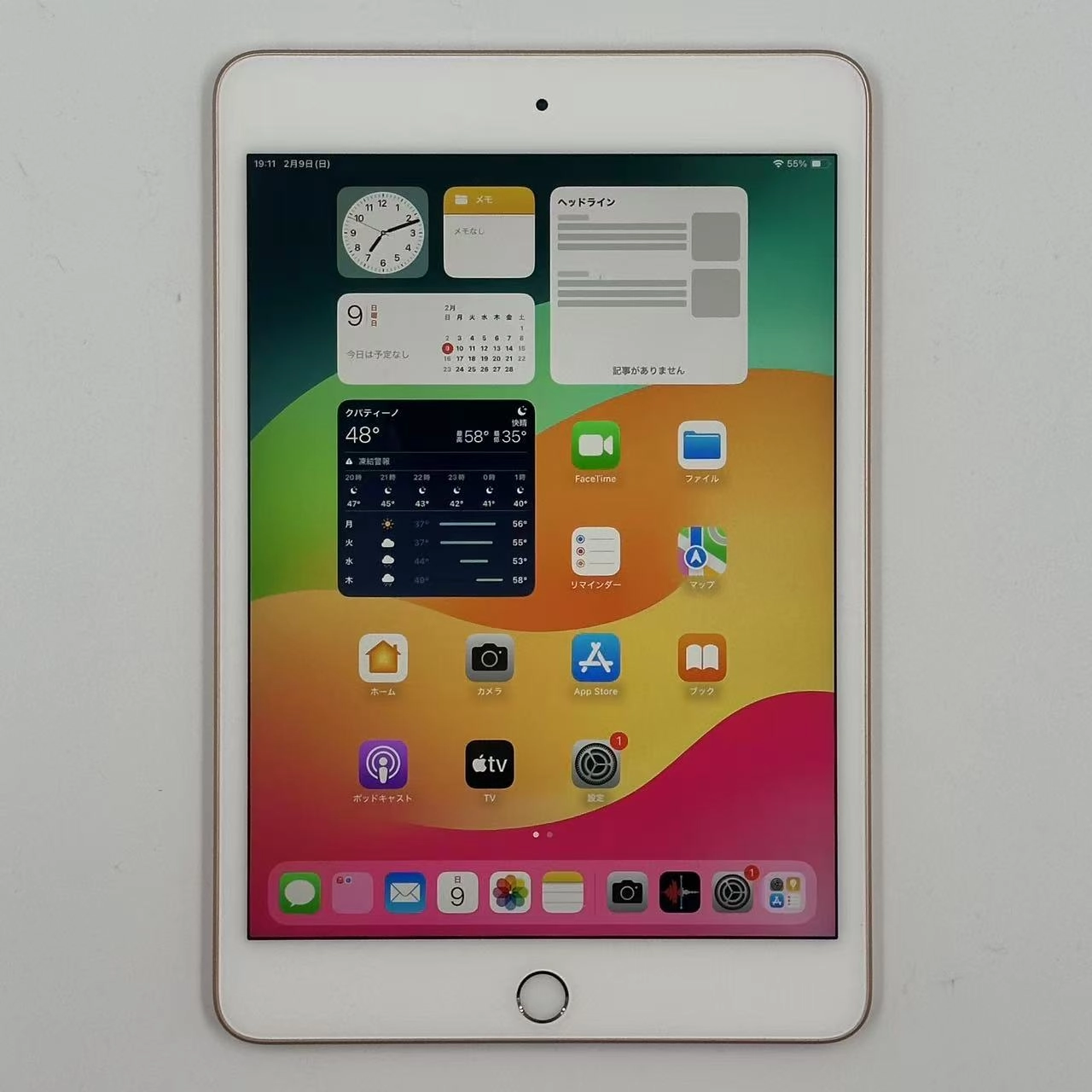 iPad mini 第5世代 海外版Wi-Fiモデル 256GB MUU62TA/A 極美品 ゴールド