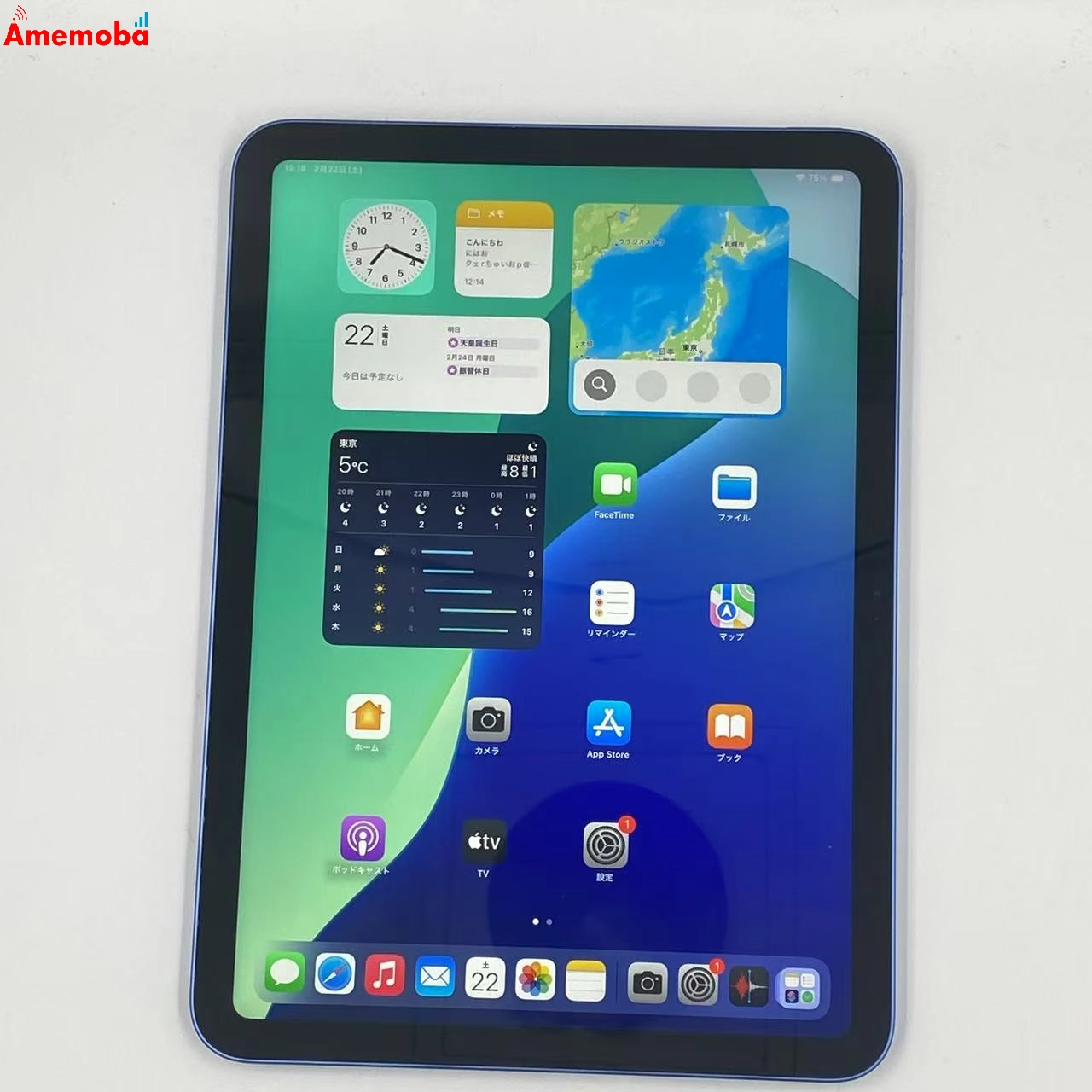iPad 第10世代 Wi-Fiモデル 256GB MPQ93J/A 美品 ブルー