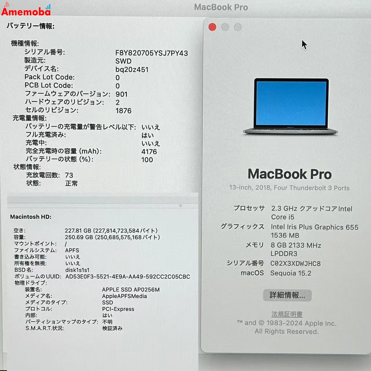 MacBook Pro 13インチ 2018 2.3GHz Core i5 8GB 256GB MR9Q2J/A 極美品 8GB/256GB スペースグレイ