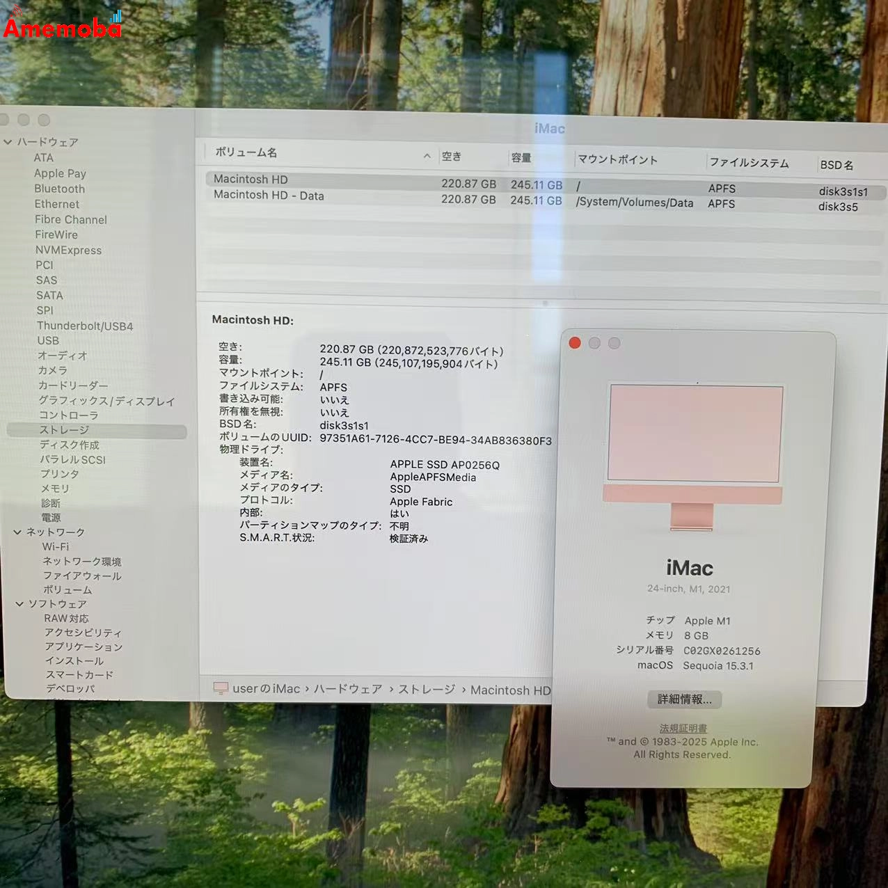 iMac 24インチ Retina 4.5K ディスプレイ M1 Late 2021 256GB ピンク A2439 美品