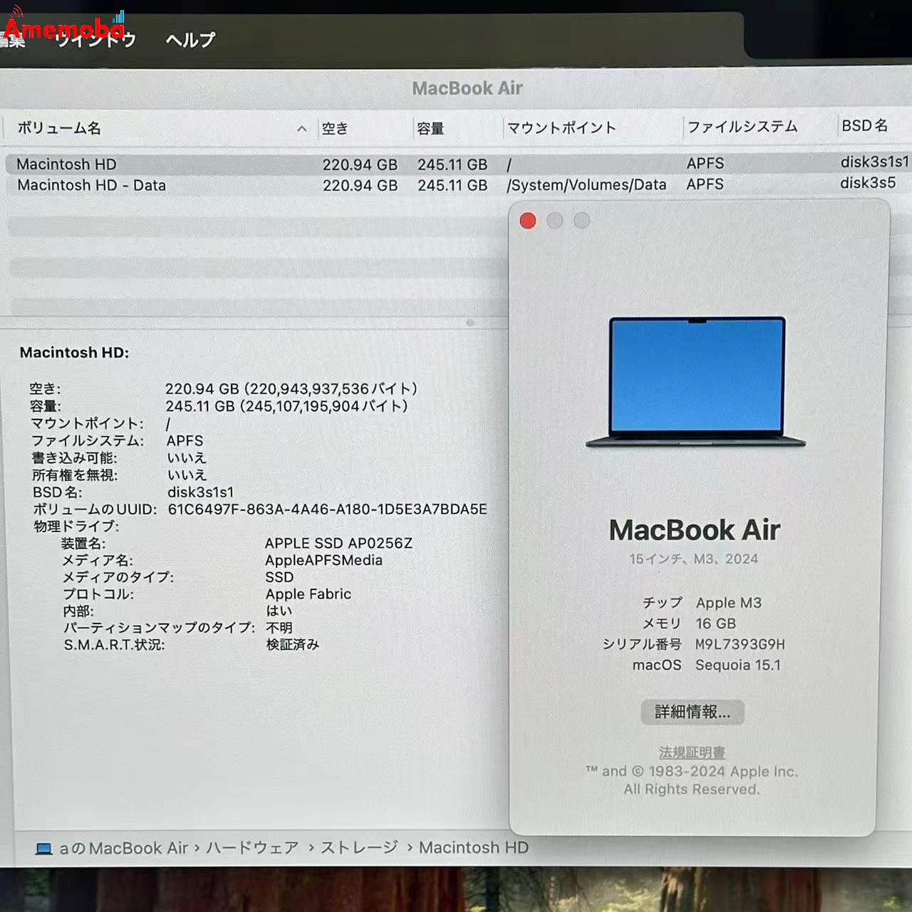 MacBook Air 15インチ M3 2024 16GB 256GB A3114 新品同様