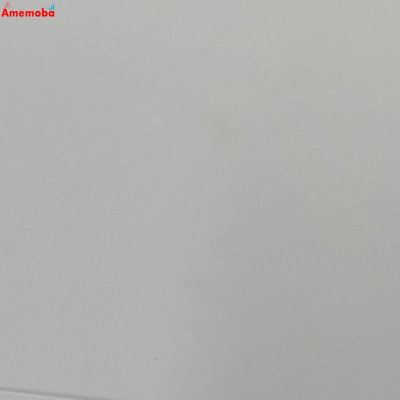 iPad 第10世代 用 Apple Magic Keyboard Folio MQDP3J/A 美品 標準カラー