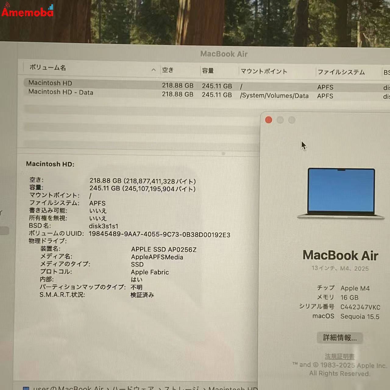 MacBook Air 13インチ Early2025 Apple M4 16GB/256GB MW0Y3J/A スターライト 新品同様