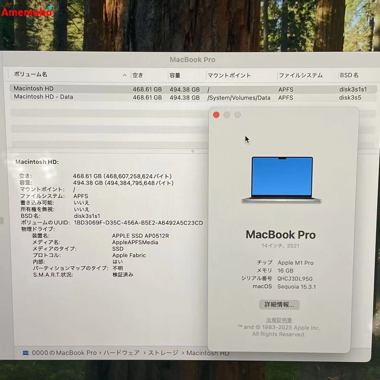 MacBook Pro 14インチ Late2021 Apple M1 Pro 16GB/512GB MKGR3J/A シルバー 新品同様