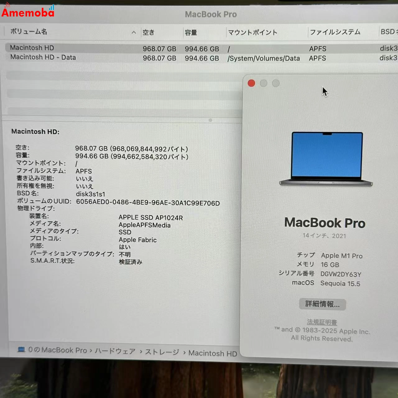 MacBook Pro 14インチ2021 M1 Pro 16GB 1TB MKGQ3J/A スペースグレイ 美品 16GB/1TB