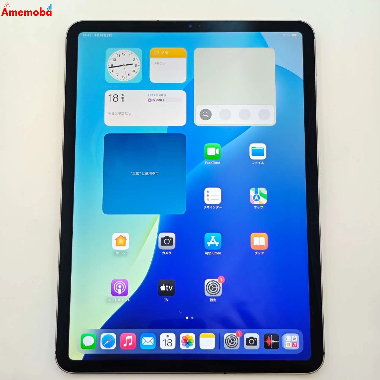iPad Pro 11インチ 第1世代 256GB スペースグレイ MU102J/A Apple版SIMフリー 美品