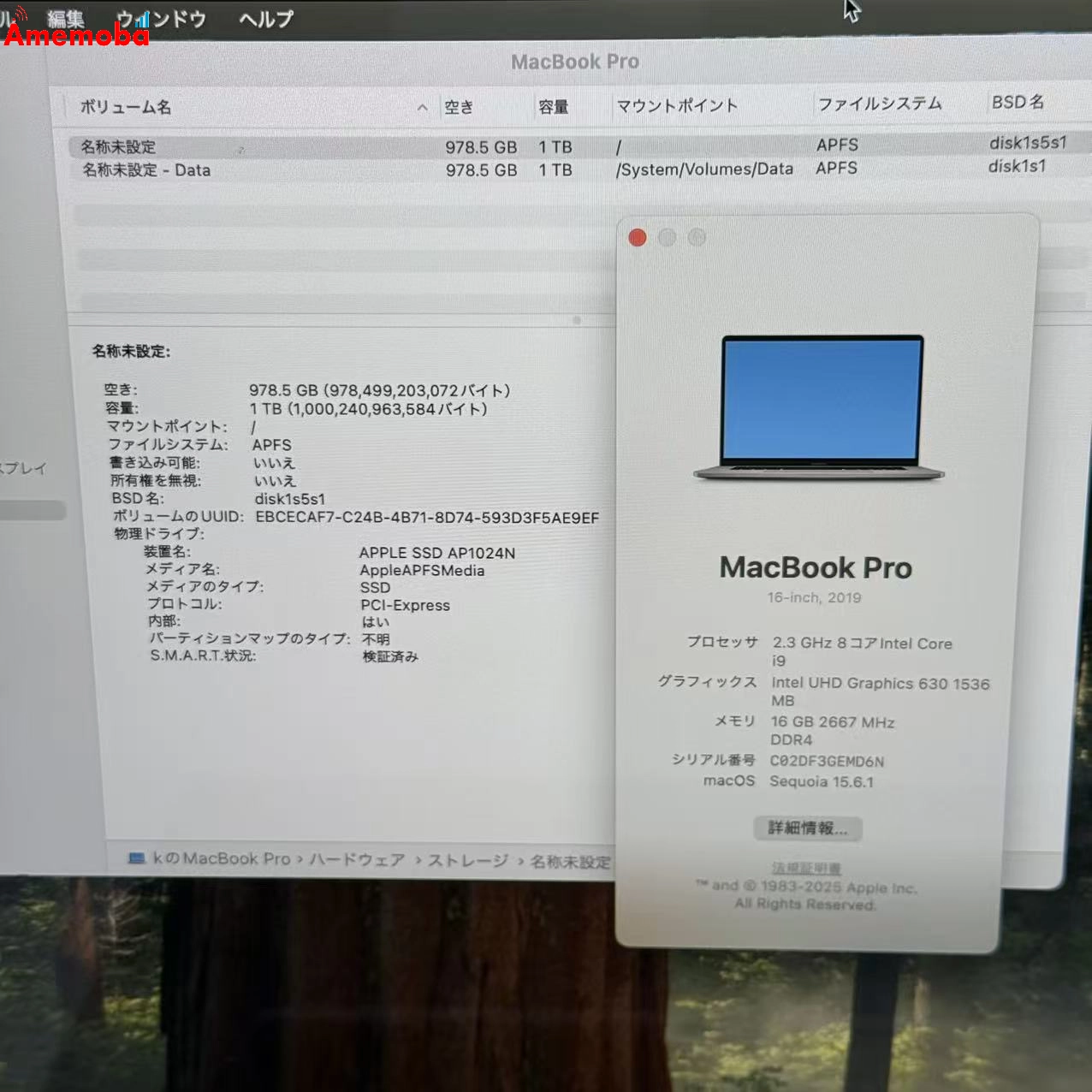Macbook Pro 16インチ 2019 16GB/1TB スペースグレイ A2141 Corei9 2.3GHz