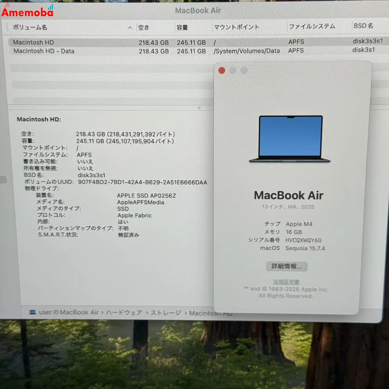 MacBook Air 13インチ Early2025 Apple M4 10CPU 8GPU 16GB/256GB ミッドナイト MW123J/A 美品