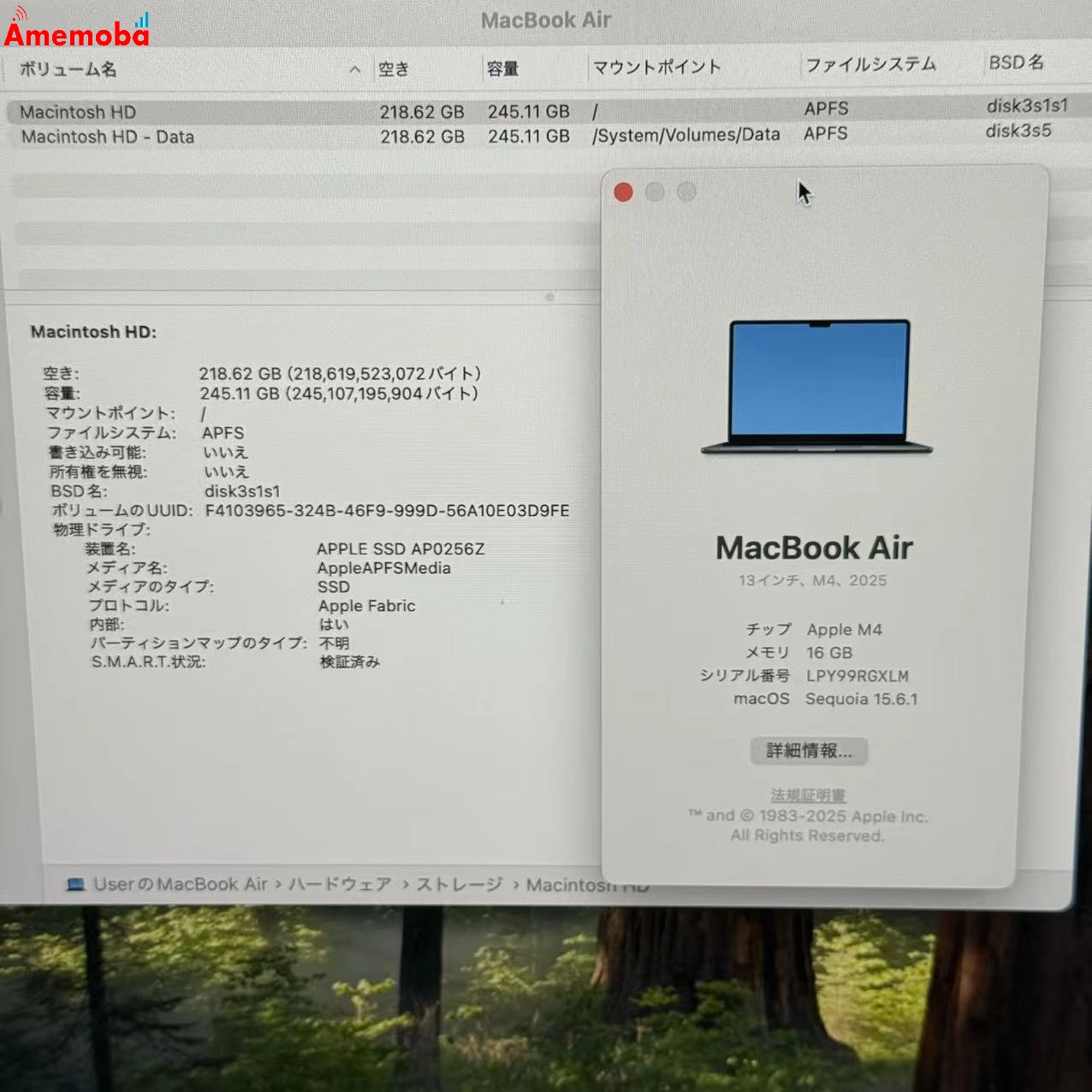 MacBook Air 13インチ M4 2025 16GB 256GB ミッドナイト MW123J/A 極美品 16GB/256GB