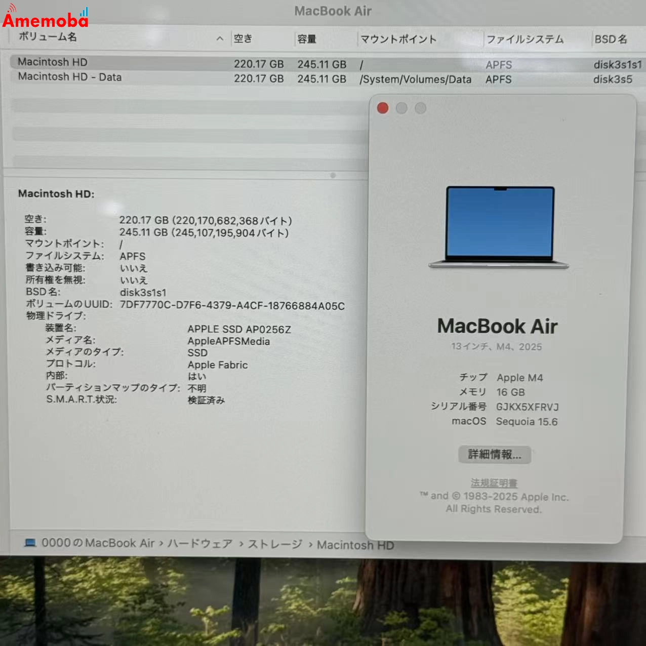 MacBook Air 13インチ M4 2025 16GB/256GB 10CPU 8GPU シルバー MW0W3J/A 新品同様