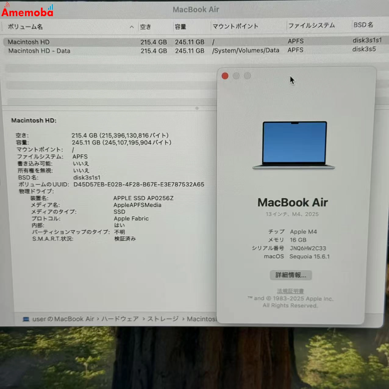 MacBook Air 13インチ Early2025 Apple M4 16GB/256GB スカイブルー MC6T4J/A 新品同様