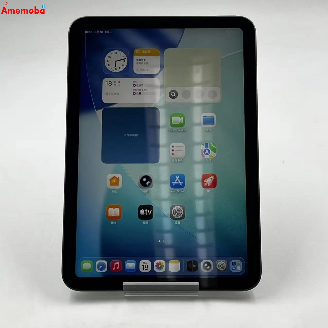 iPad mini 第6世代 Wi-Fiモデル 64GB スペースグレイ NK7M3CH/A ジャンク品